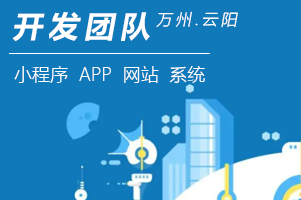 开发团队力量